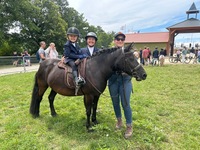 GOF 2024 PONEY