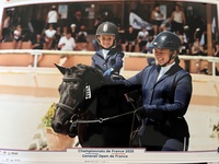 GOF 2025 PONEY